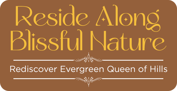 Rediscover Darjeeling